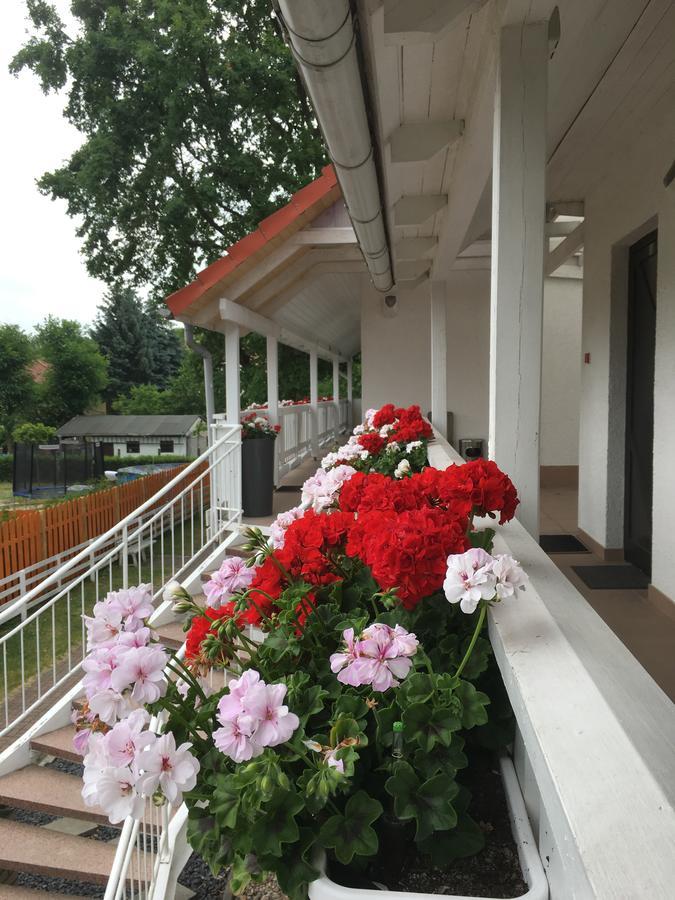 Pension Geranienhof Stahnsdorf Luaran gambar